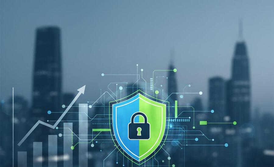 Cybersecurity risk assessment consulting for businesses